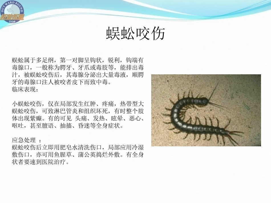 户外急救知识(必备)_第3页