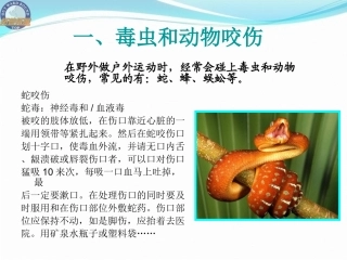 户外急救知识(必备)