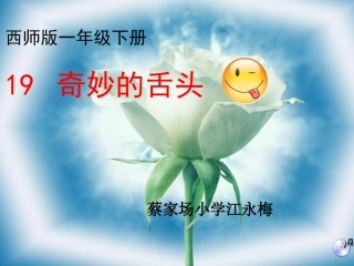 语文一年级上册《奇妙的舌头》课件