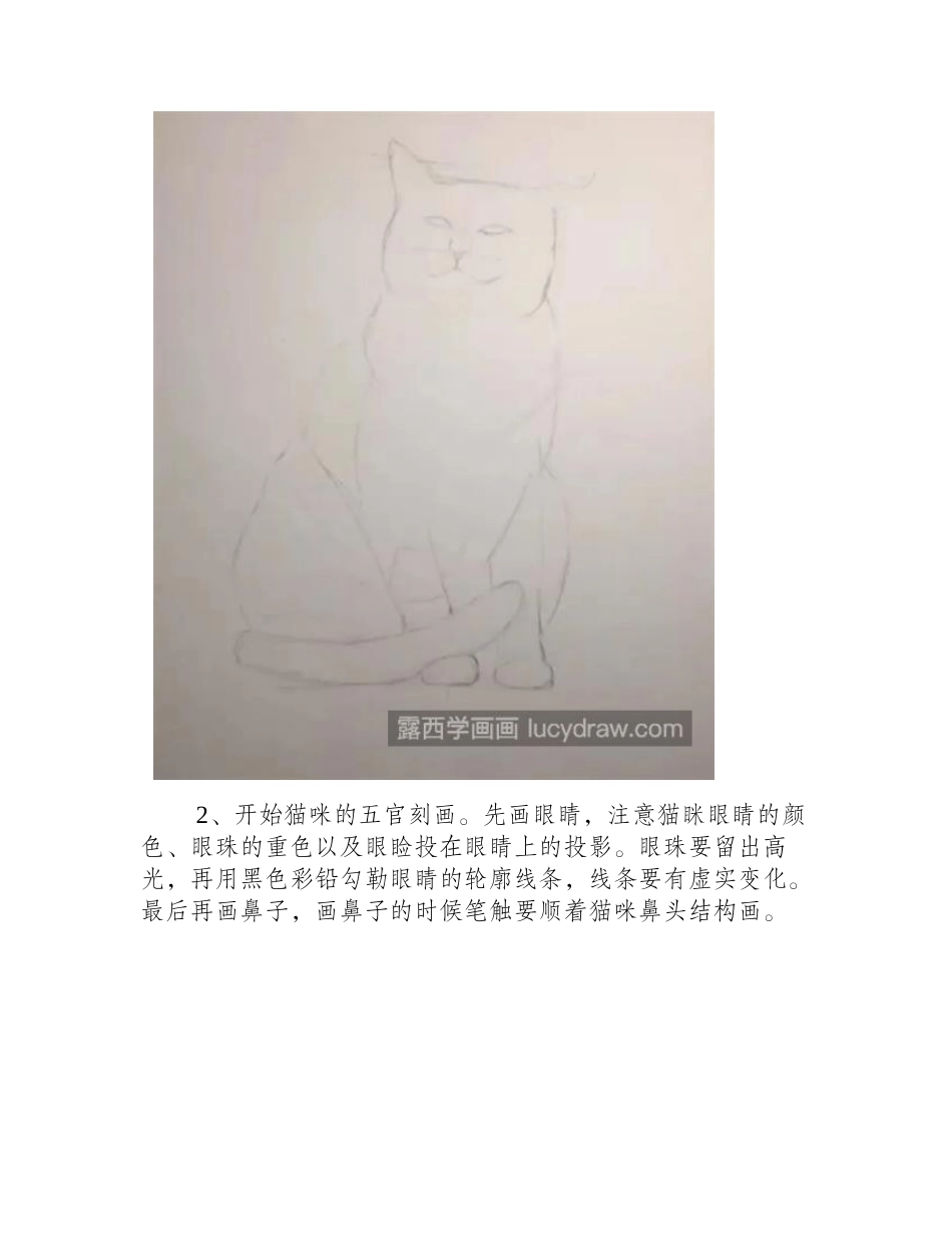 橘猫怎么画_如何表达猫咪的慵懒形象_彩铅画教程_第2页