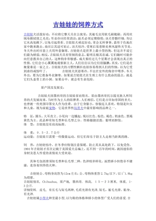 吉娃娃的饲养方式