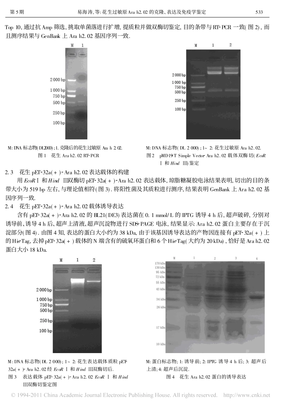 花生过敏原Ara h2.02的克隆、表达及免疫学鉴定_第3页