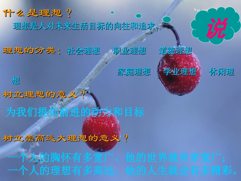 九年级思想品德第23课《走向未来》课件_第3页