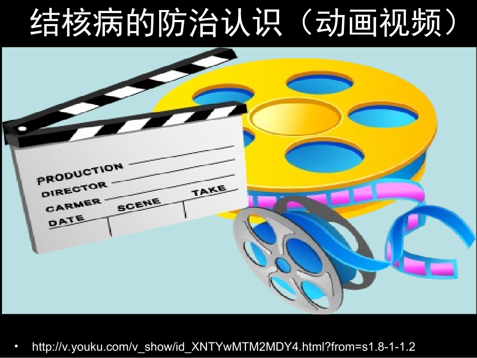 结核病及抗结核药物_第3页