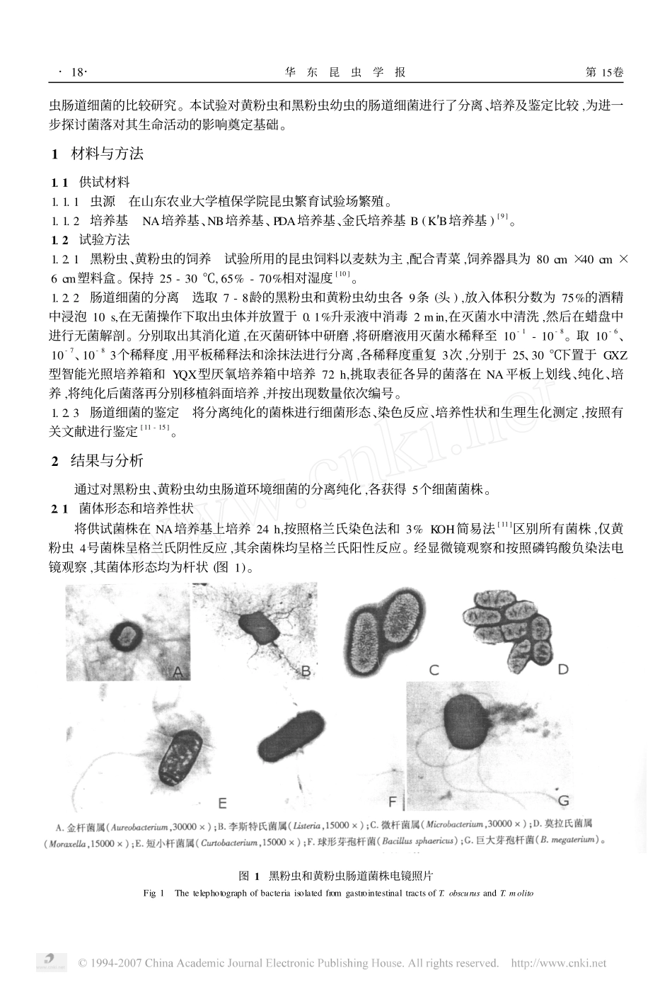 黑粉虫与黄粉虫幼虫肠道细菌的比较_第2页