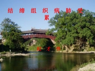 结缔组织病肺受累