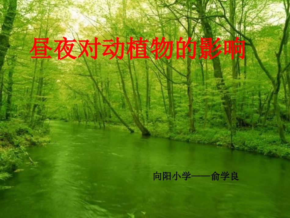 新昼夜对动植物的影响_第1页