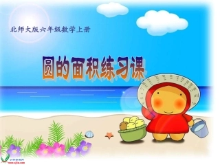 《圆的面积练习题》PPT课件