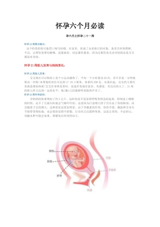 怀孕六个月必读