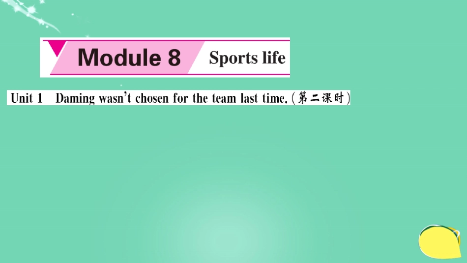 九年级英语上册-Module 8 Sporting life Unit 1 Daming wasn’_第2页