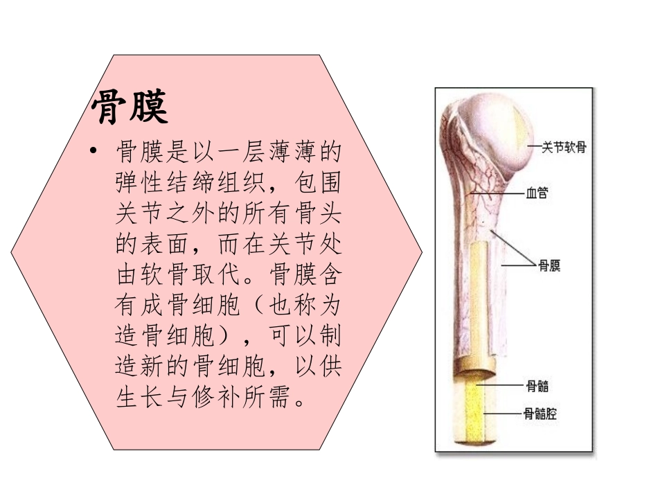 胫腓骨疲劳性骨膜炎是怎么引起的呢_第2页
