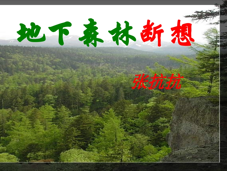 地下森林联想_第3页