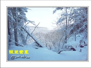 地下森林联想