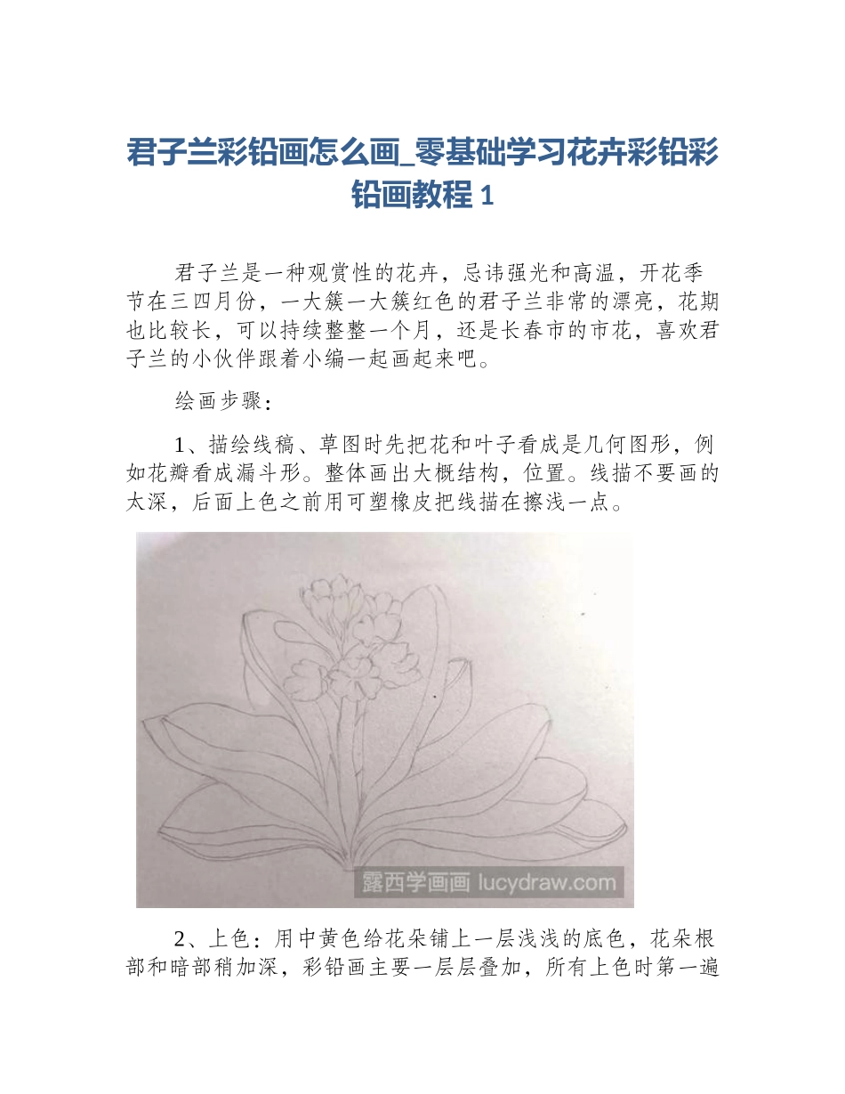 君子兰彩铅画怎么画_零基础学习花卉彩铅彩铅画教程1_第1页