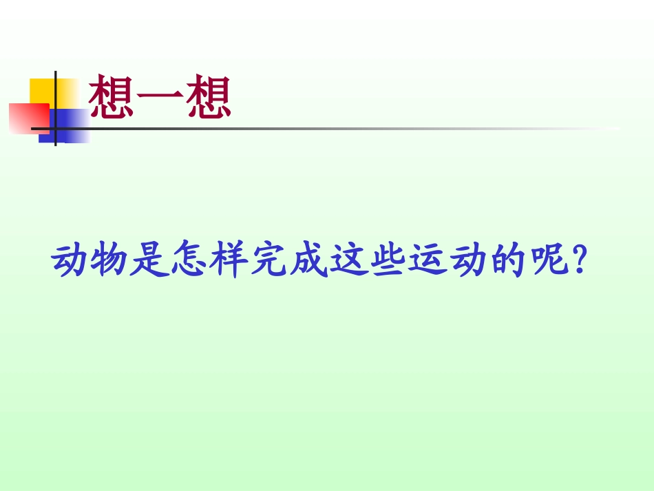 _动物的运动2_第3页