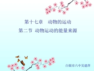 _动物的运动2