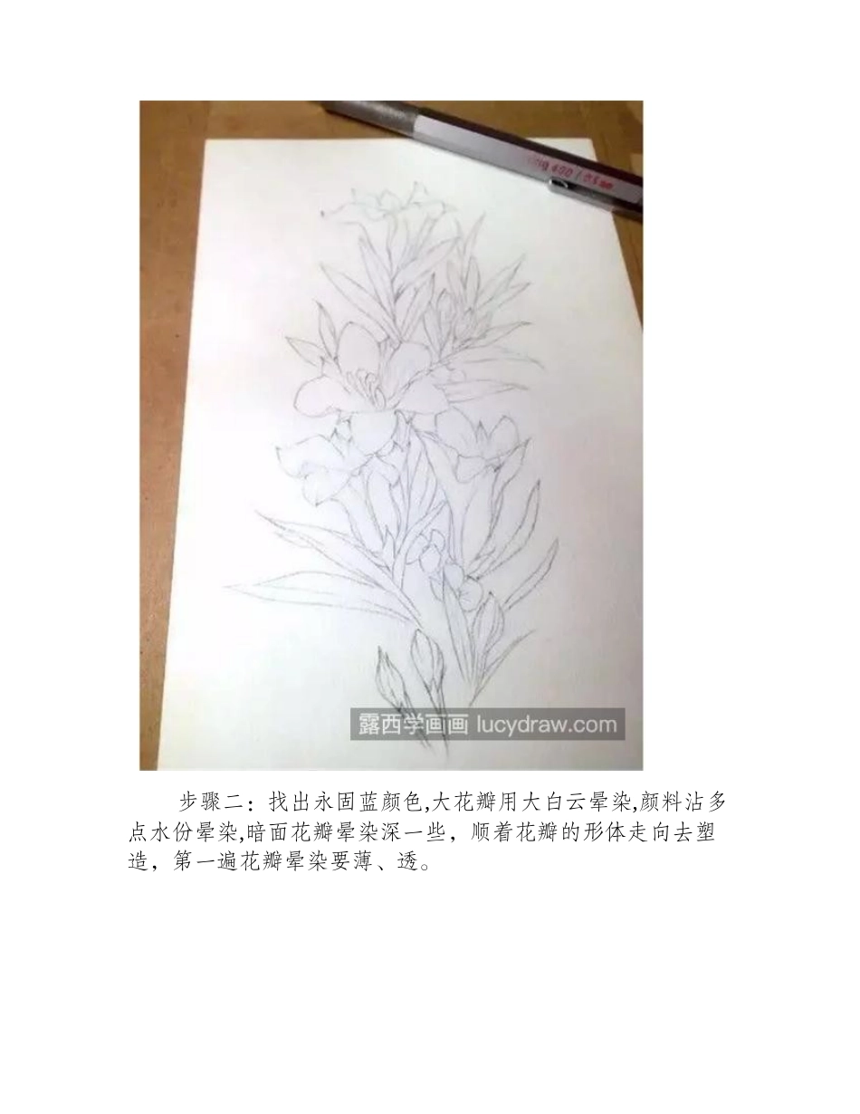 龙胆花怎么画_蓝色花卉的水彩步骤有哪些_水彩画教程_第2页