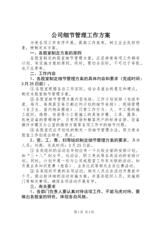 公司细节管理工作方案