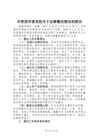 共青团市委党组关于巡察整改情况的报告