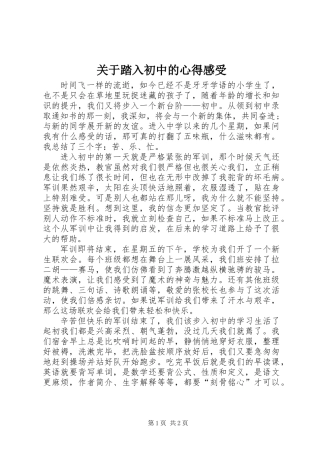 关于踏入初中的心得感受