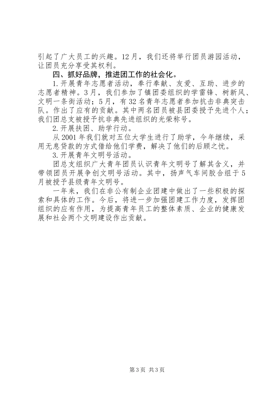 公司团总支工作总结_第3页