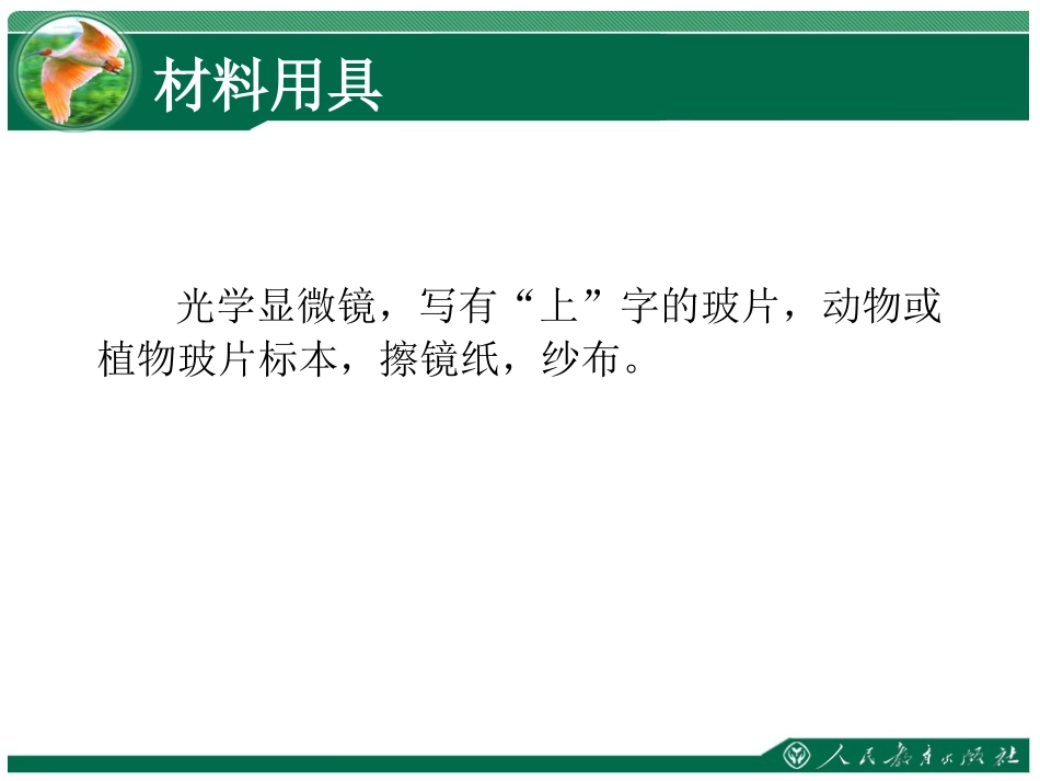 练习使用显微镜课件_第3页