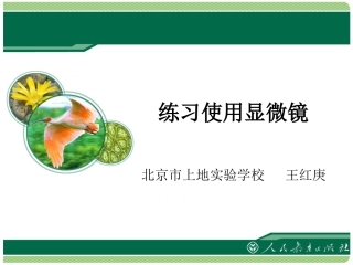 练习使用显微镜课件