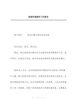 街道环境保护工作报告