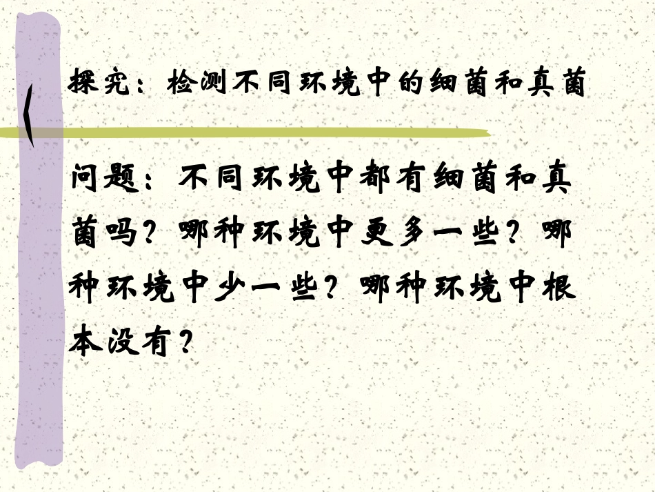 检测不同环境的细菌和真菌_第2页