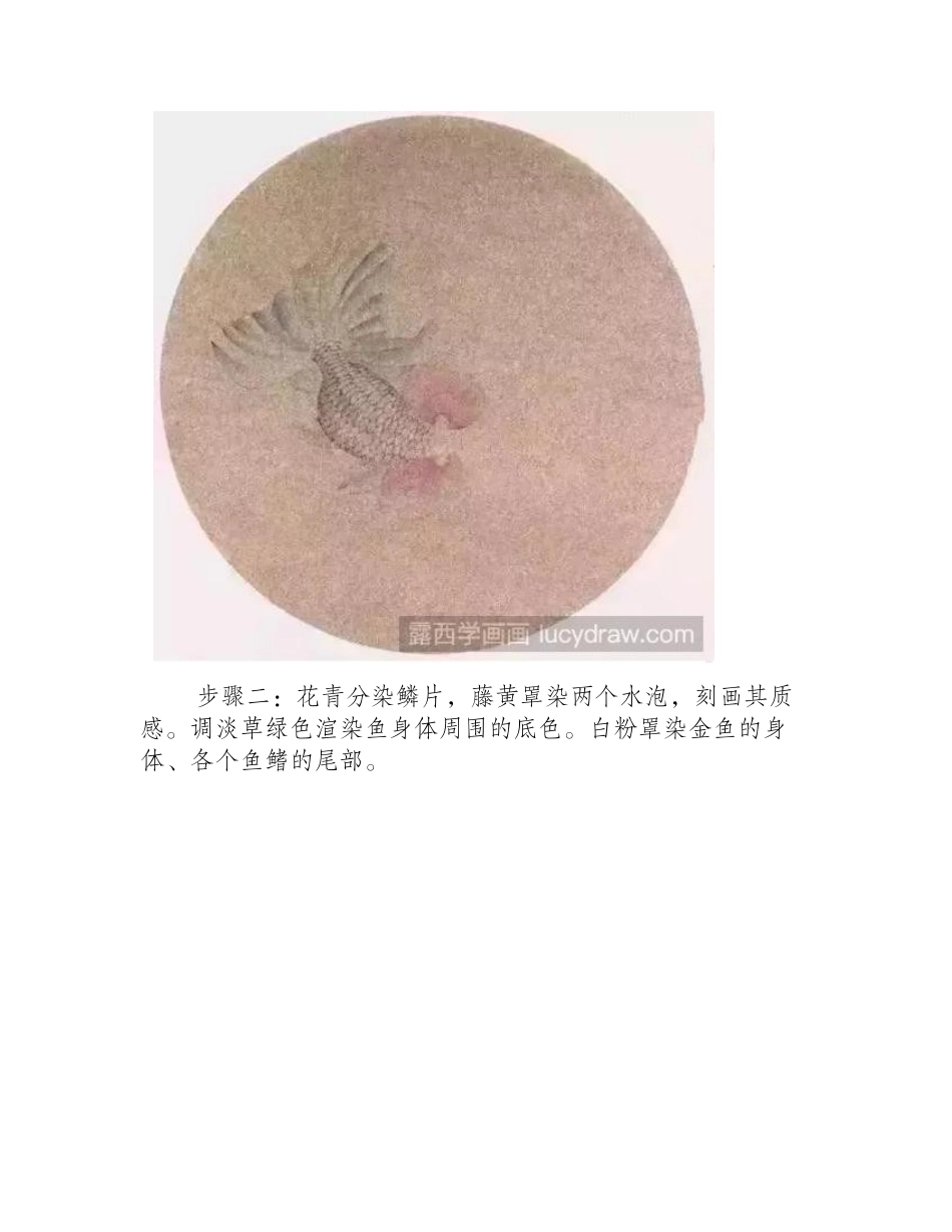金鱼工笔画怎么画_朱砂水泡的工笔画步骤有哪些_工笔画教程_第2页