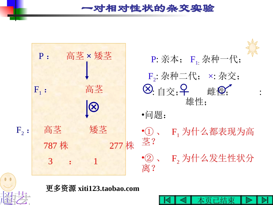 基因的分离规律(浙江省台州一中朱朝义)_第2页