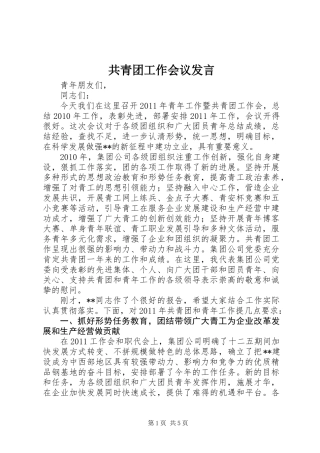 共青团工作会议发言