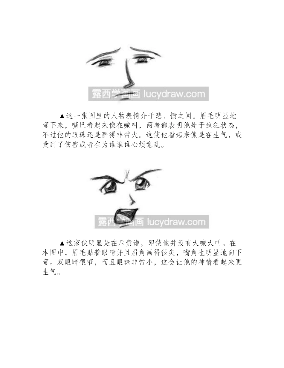 漫画人物面部表情的画法分享漫画教程1_第2页