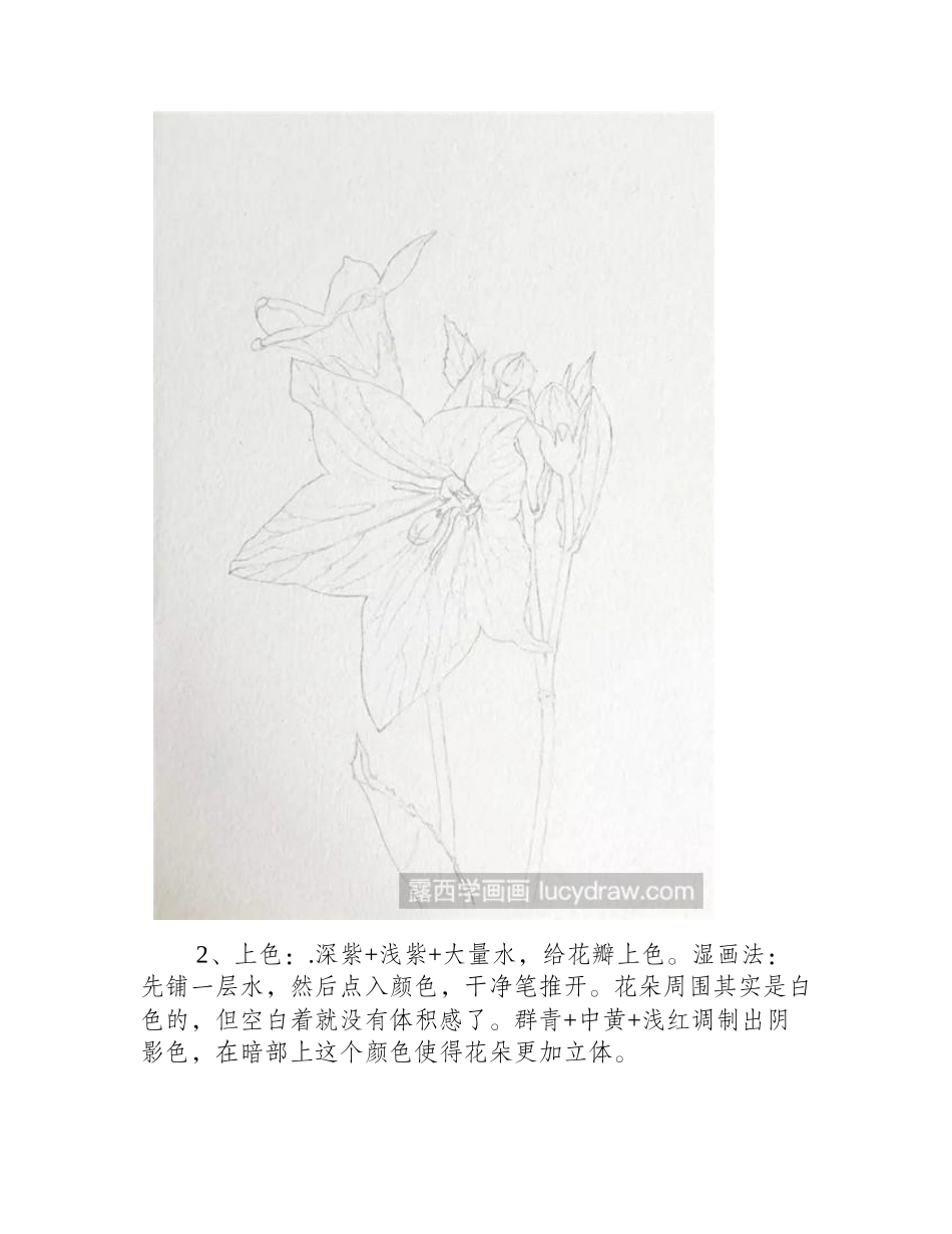 桔梗花水彩画教程水彩画教程_第2页