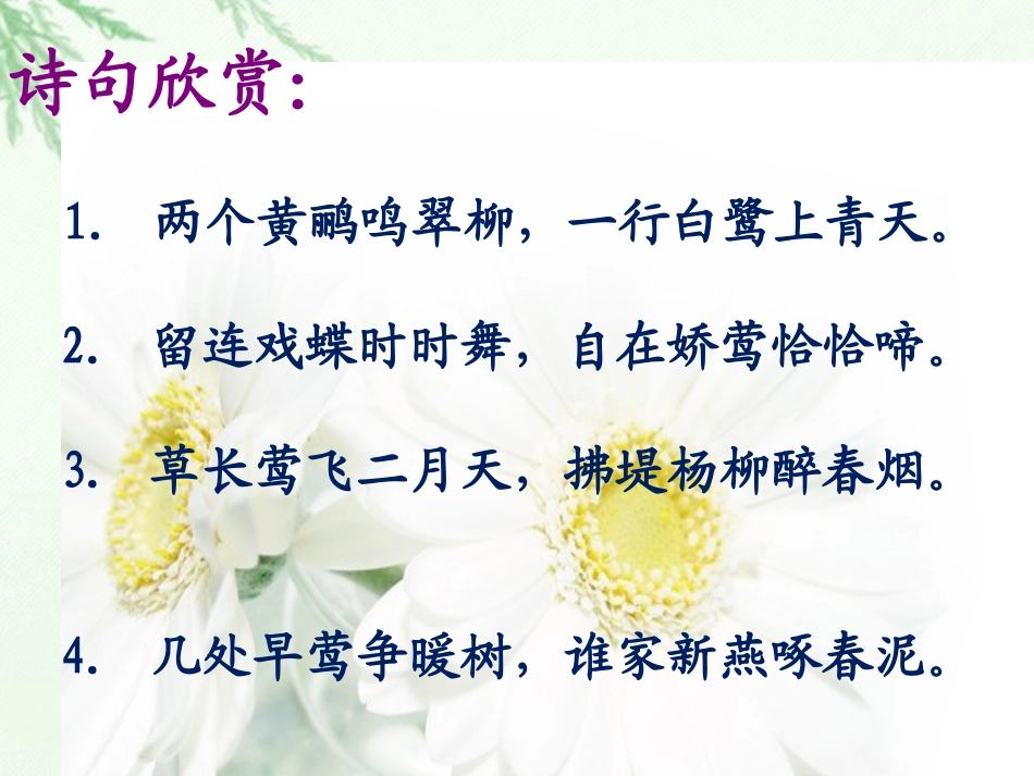 五上珍珠鸟课件_第3页