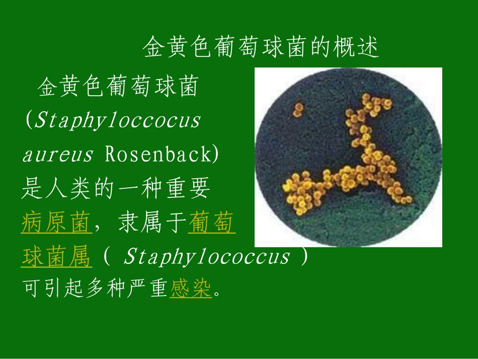 金黄色葡萄球菌0911_第2页