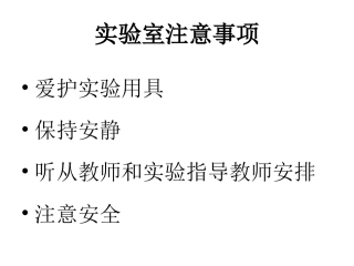 观察人体口腔上皮细胞、洋葱鳞片叶表皮细胞实验