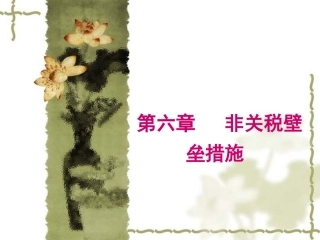 国际贸易 非关税措施