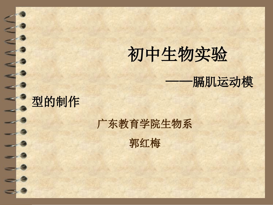 膈肌运动模型的制作_第1页