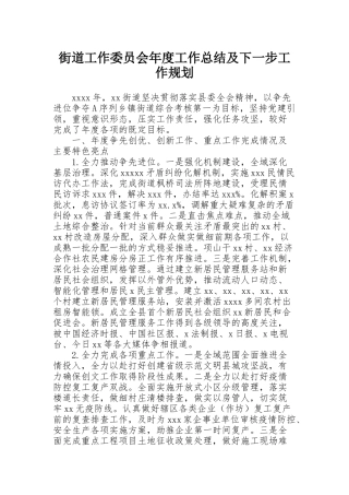 街道工作委员会年度工作总结及下一步工作规划
