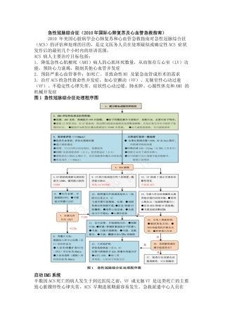 急性冠脉综合征(2010年国际心肺复苏及心血管急救指南)