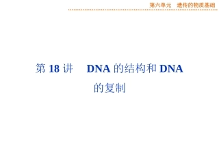 2015届《优化方案》高考生物（苏教版）一轮配套课件：第18讲DNA的结构和DNA的复制