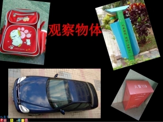 精品观察物体001