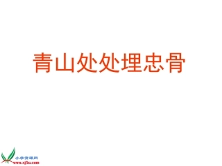 青山处处埋忠骨PPT (5)