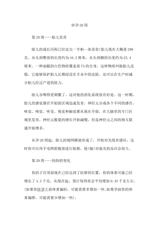 怀孕第二十周