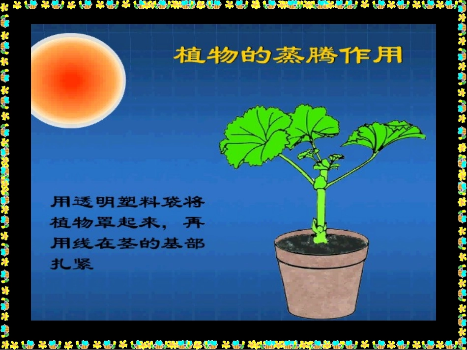 绿色植物参与生物圈的水循环_第3页