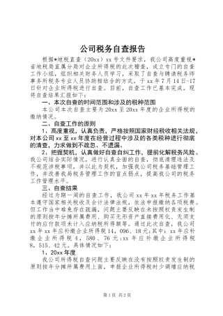 公司税务自查报告