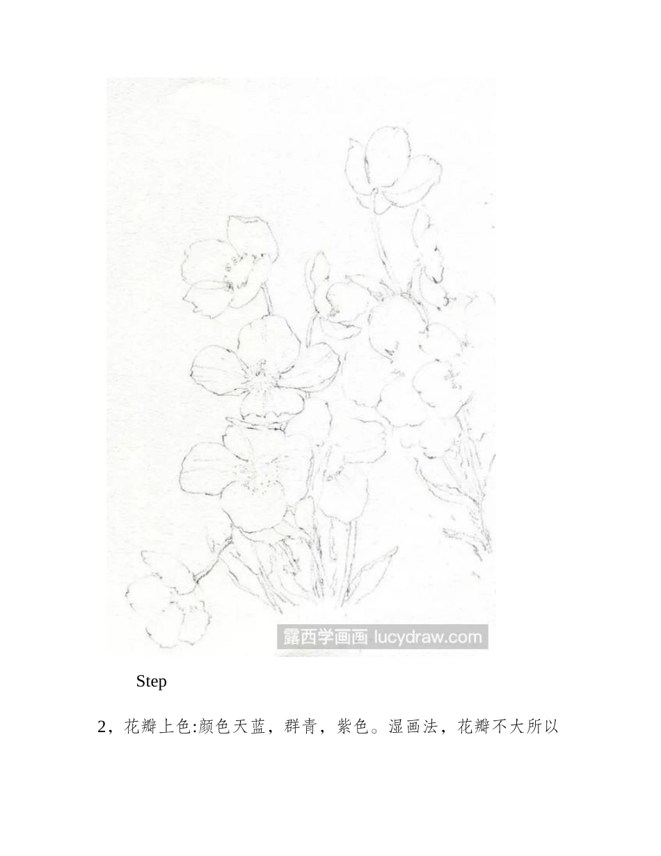 蓝罂粟画法水彩画教程_第2页