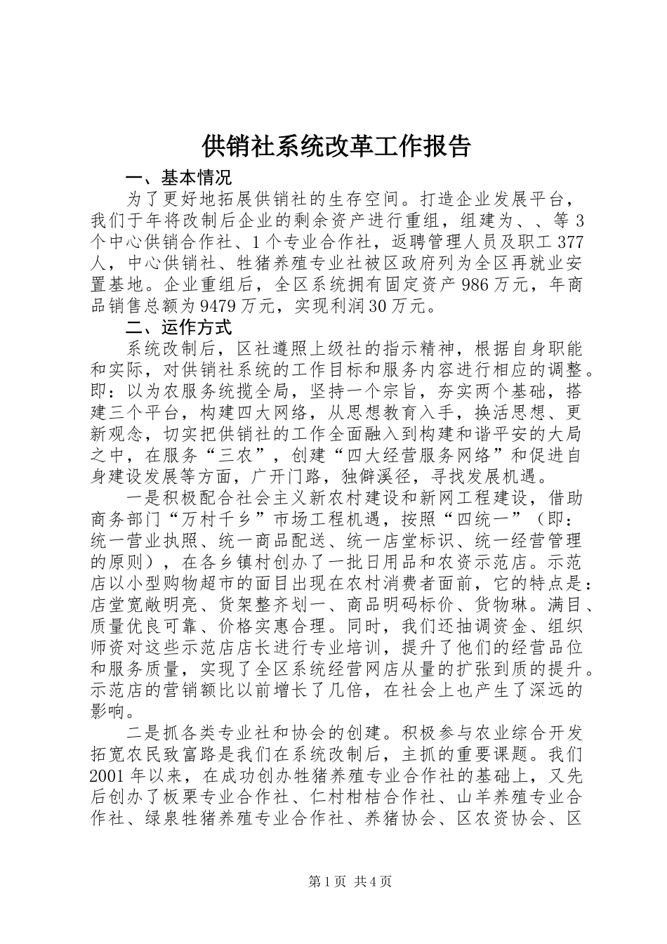 供销社系统改革工作报告_第1页