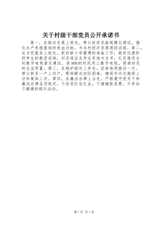 关于村级干部党员公开承诺书